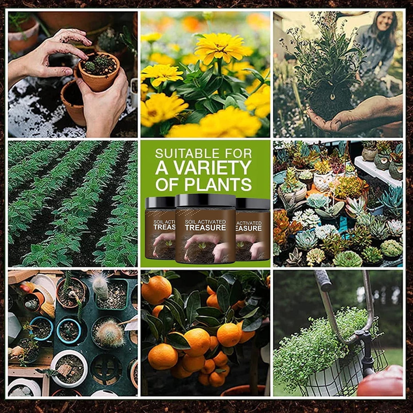 Premium Organic Soil Activator (2 x 200g)