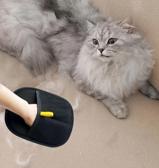 Pet Hair Removal Gloves (2 Pcs)