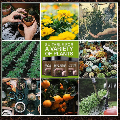 Premium Organic Soil Activator (2 x 200g)